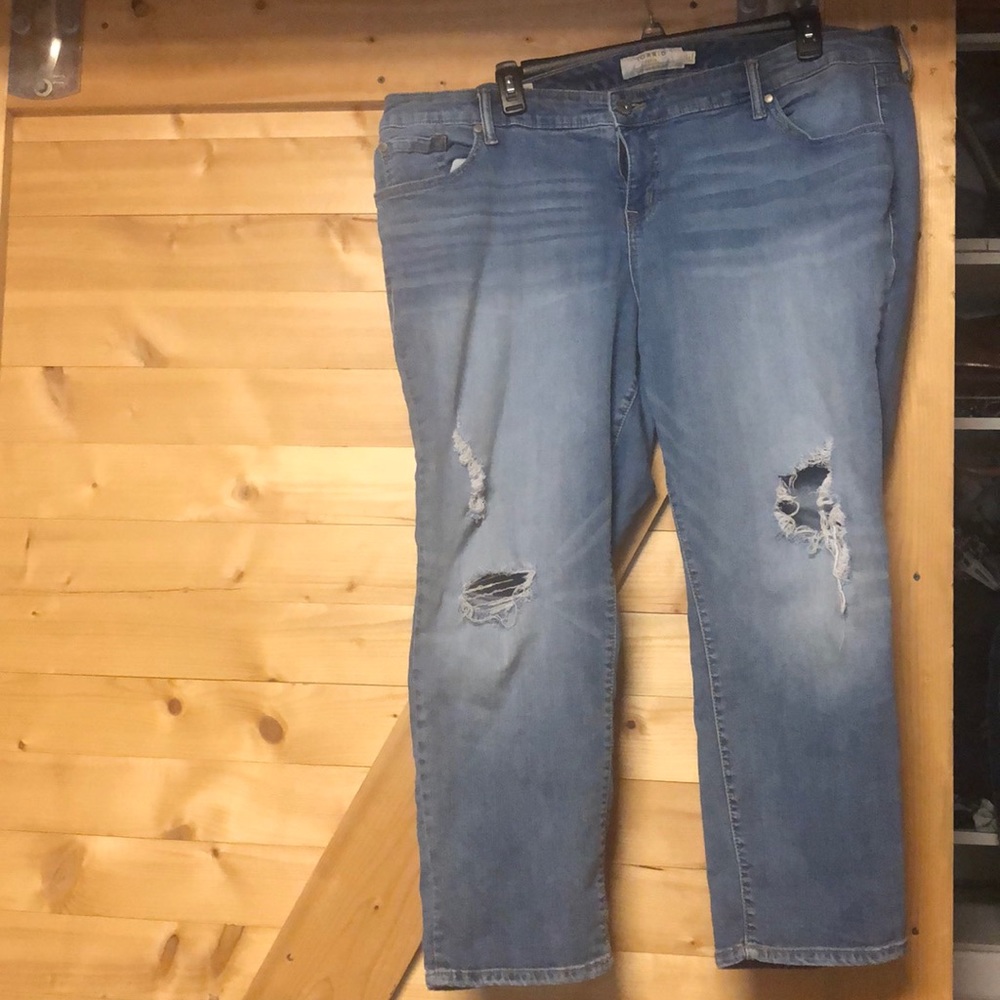 Torrid ripped jeans